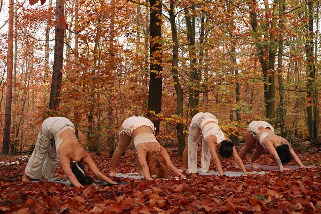 Four People stretching the body in the forest