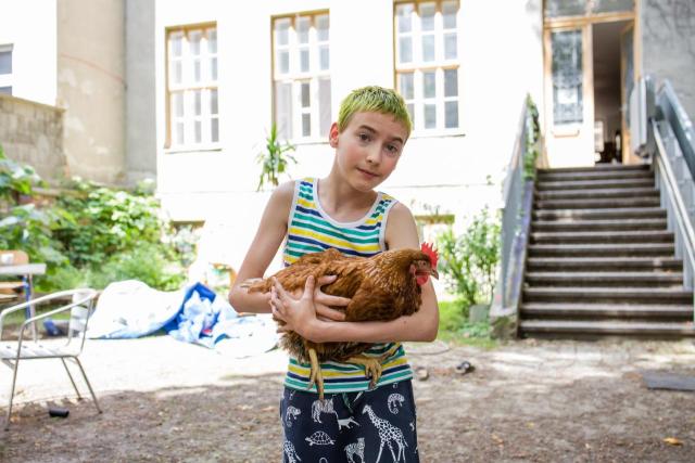 A boy with blond dyed hair holds a chicken , background we can see the yard of a house and stairs.