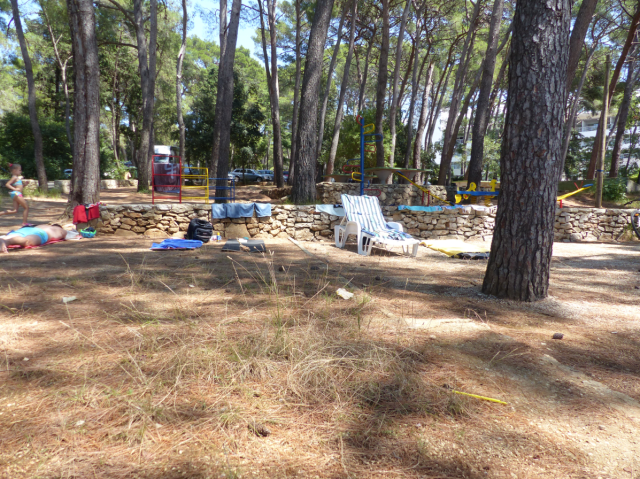 Open space of a beach with the background of beach chairs and pine trees.