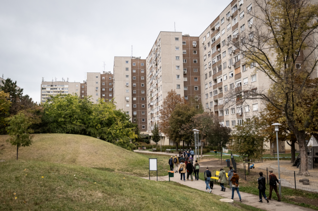 a group of people walking whithin a neighbourhood