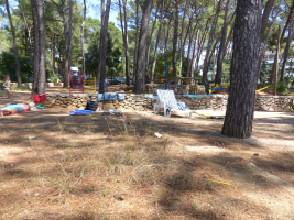 Open space of a beach with the background of beach chairs and pine trees.